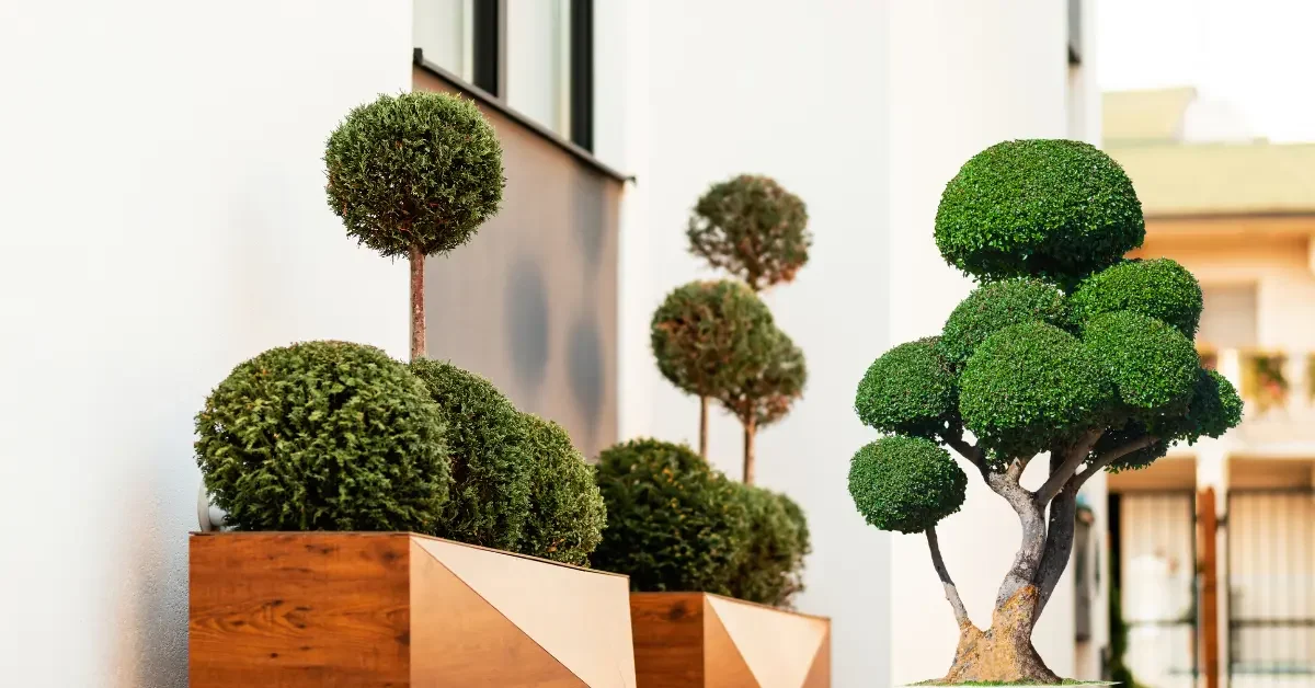 best outdoor artificial topiary trees