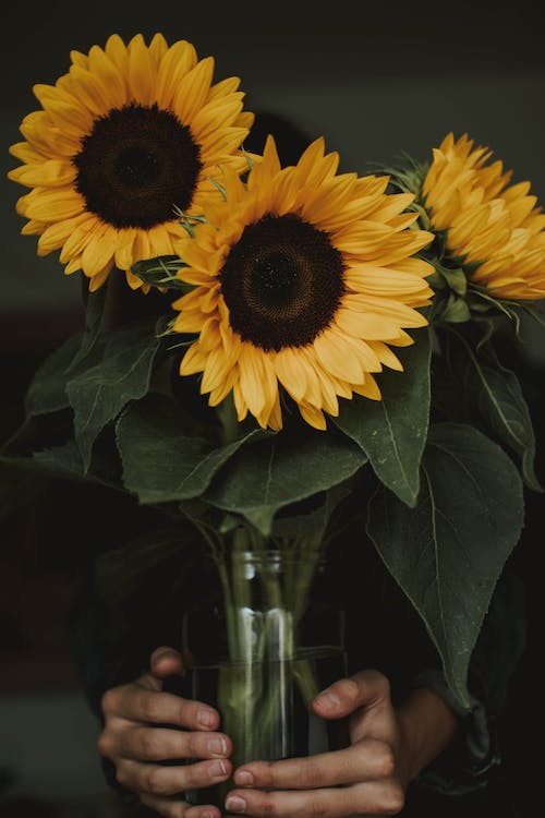 Best vase for sunflowers